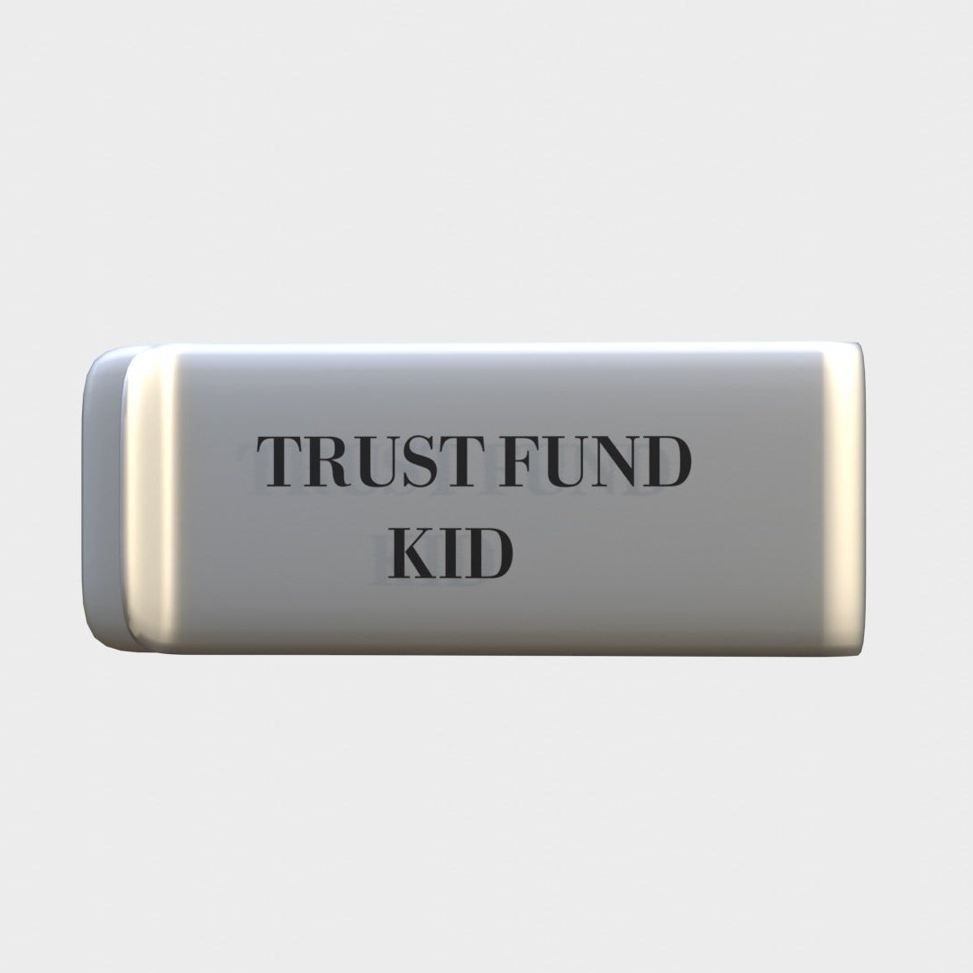 TRUST FUND KID - SILVER